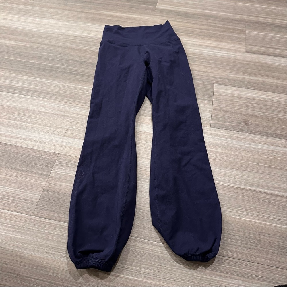 Aerie Navy Blue Ankle Pants